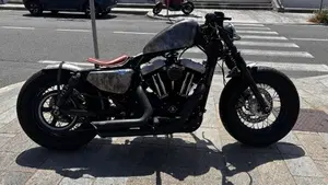 Harley-Davidson 1200 Forty-Eight (2010 - 15)  (5)