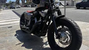 Harley-Davidson 1200 Forty-Eight (2010 - 15)  (6)