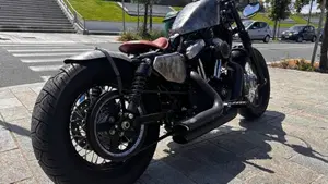 Harley-Davidson 1200 Forty-Eight (2010 - 15)  (7)