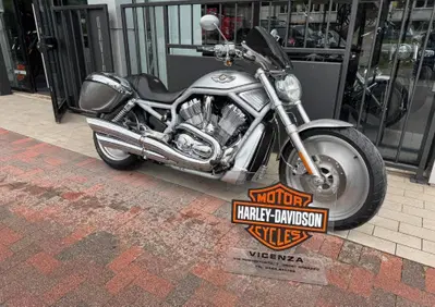 Harley-Davidson 1130 V-Rod (2002 - 05) - VRSCA - Annuncio 10016538