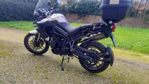 Triumph Tiger 800 ABS (2010 - 14)  (4)