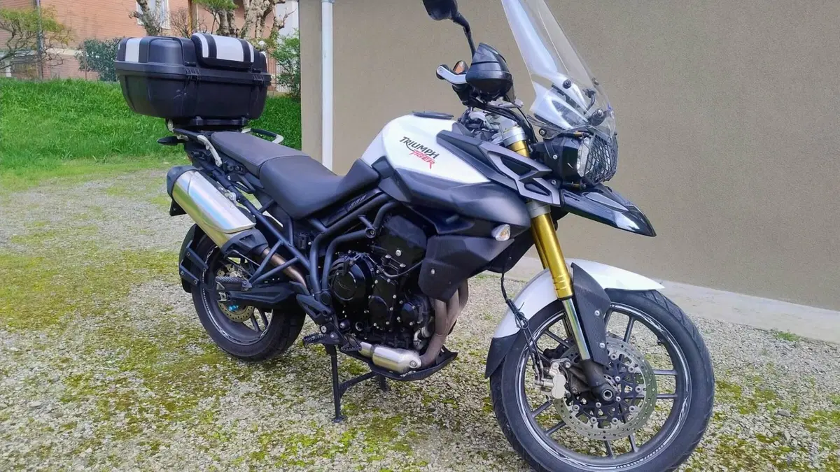 Triumph Tiger 800 ABS (2010 - 14)  (5)