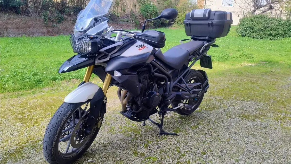 Triumph Tiger 800 ABS (2010 - 14)  (6)
