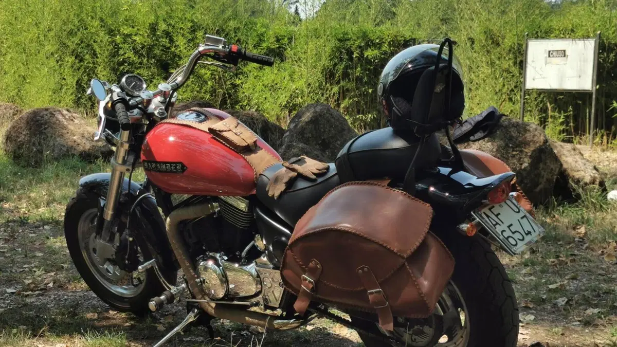 Suzuki Marauder VZ 800  (2)