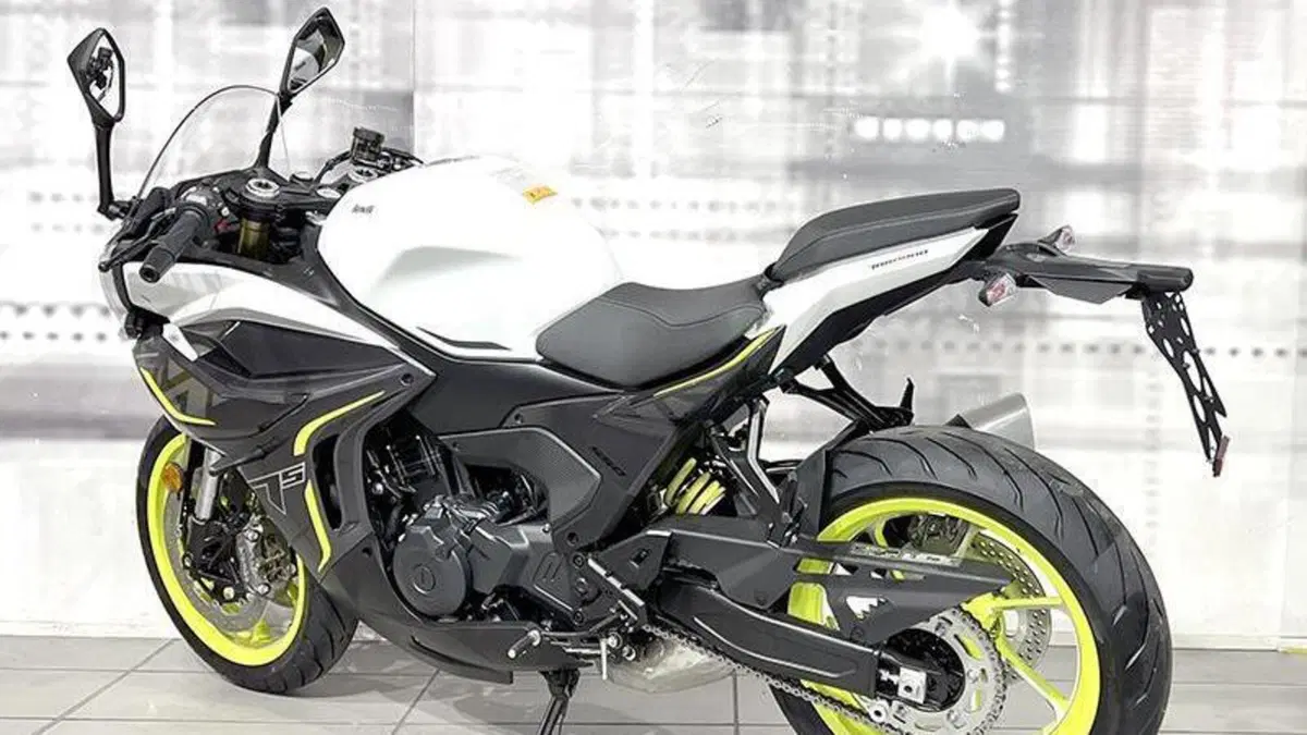 Benelli Tornado 550 (2025 - 26)  (2)