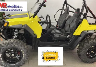 Polaris RZR 800 Ranger EFI E 4x4 (2008 - 13) - Annuncio 10016577