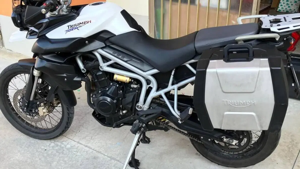 Triumph Tiger 800 XC (2011 - 12)  (7)
