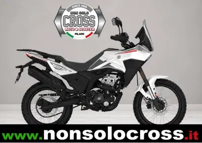 Morbidelli T125X (2025 - 26) - Annuncio 10016682