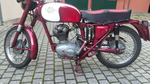 Ducati  