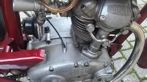 Ducati   (7)