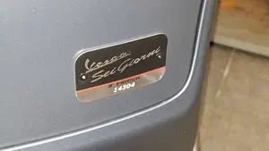 Vespa Sei Giorni 300 Hpe (2021 - 22)  (3)