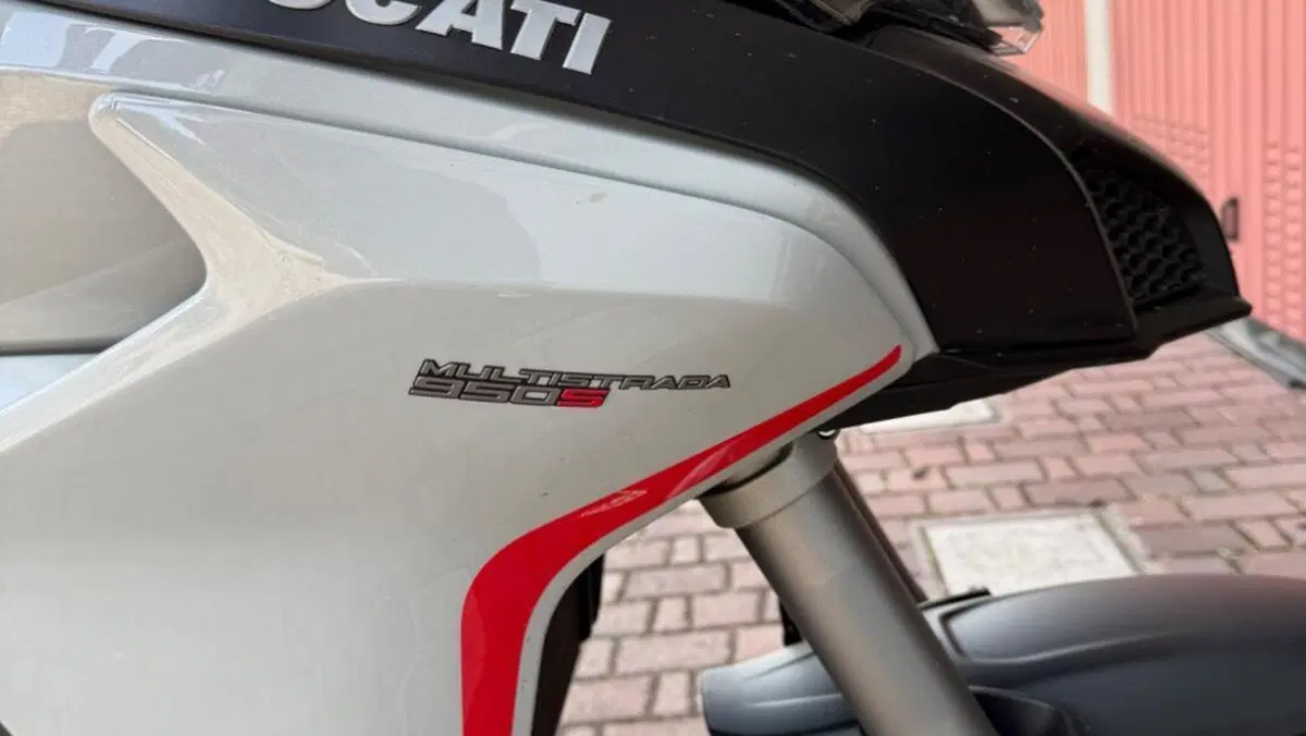 Ducati Multistrada 950 S (2019 - 20)  (5)