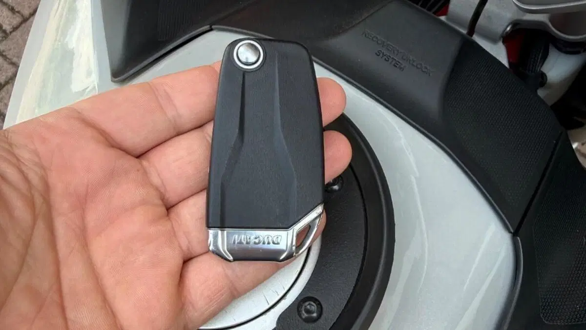 Ducati Multistrada 950 S (2019 - 20)  (8)