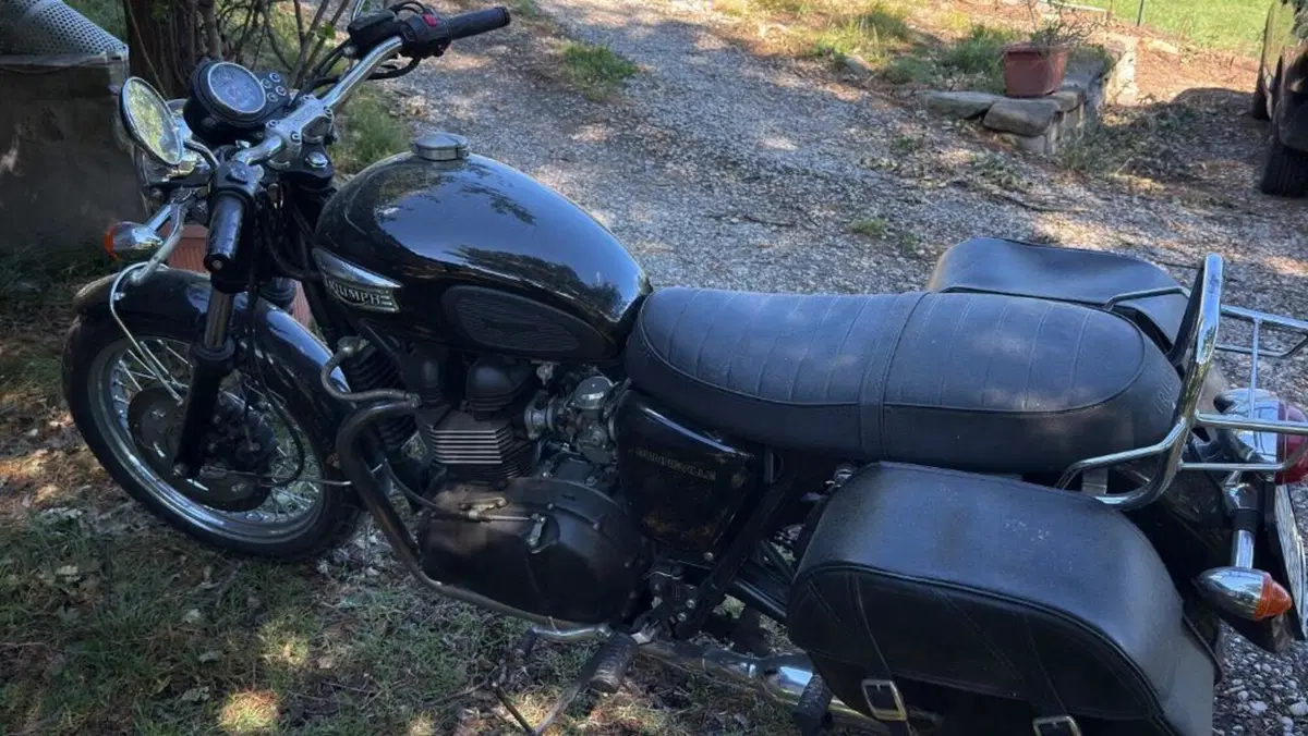Triumph Bonneville 800 (2002 - 07)  (2)