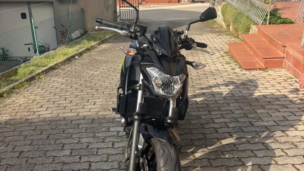 Kawasaki Z 650 (2017 - 19)  (2)