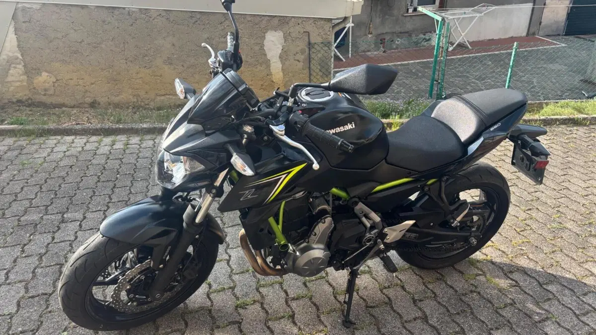 Kawasaki Z 650 (2017 - 19)  (3)