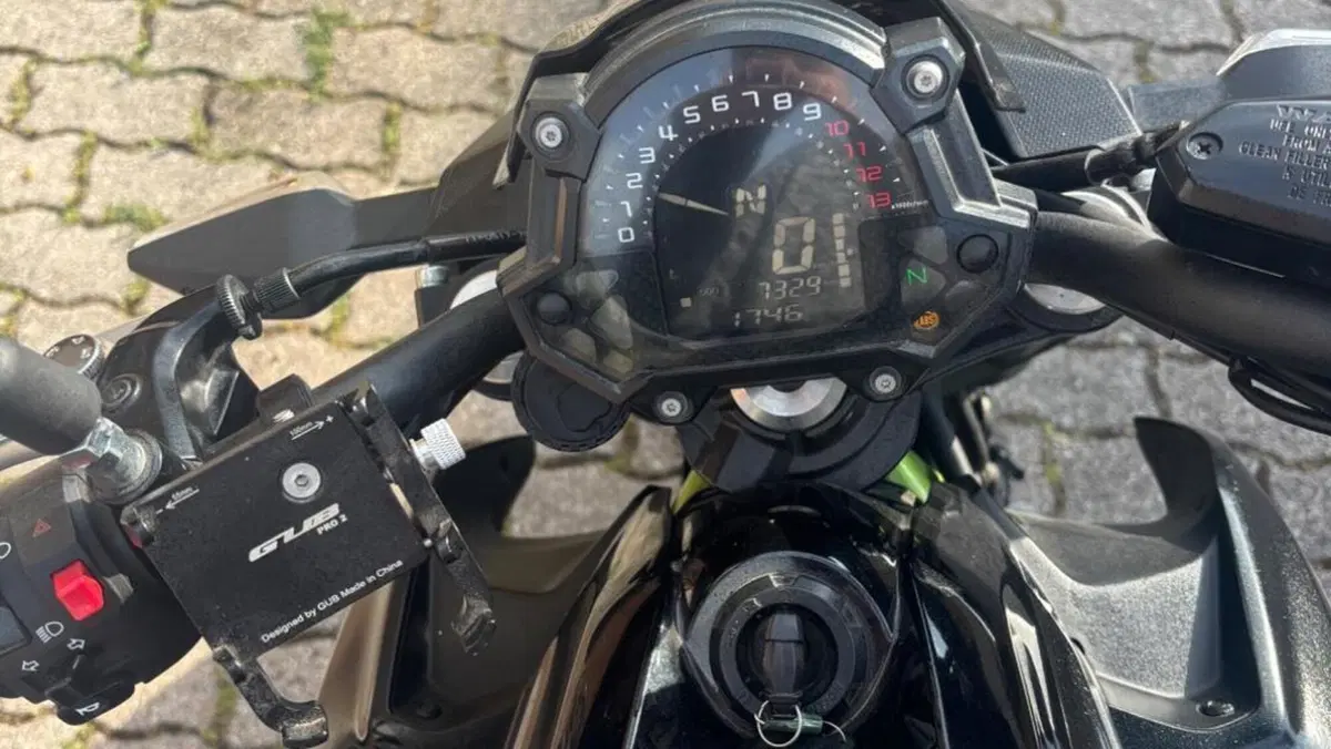 Kawasaki Z 650 (2017 - 19)  (8)