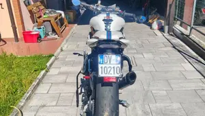 Triumph Speed Triple 1050 (2011 - 13)  (4)