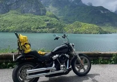 Harley-Davidson Softail Standard (2021 - 25) - Annuncio 10017068