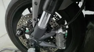 Ducati Diavel 1260 (2019 - 20)  (7)