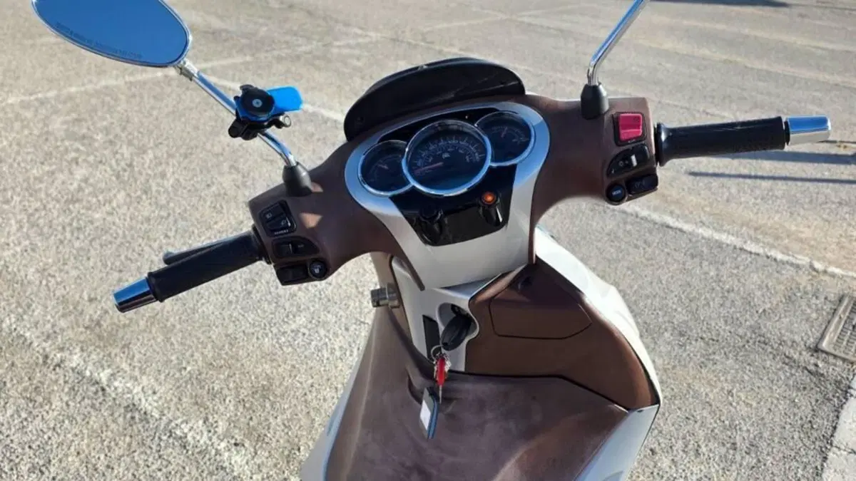 Piaggio Beverly 300 i.e. ABS-ASR (2016 - 20)  (5)