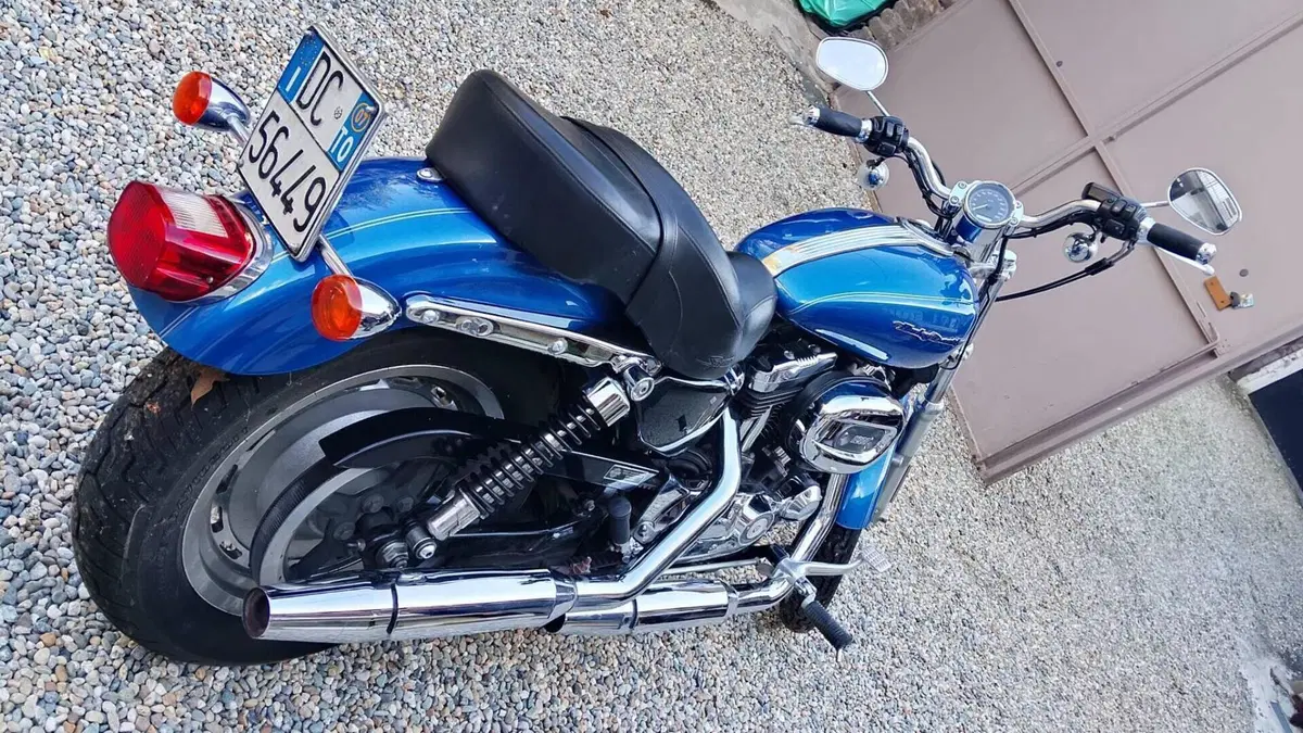 Harley-Davidson 1200 Custom (2007 - 13) - XL 1200C  (6)