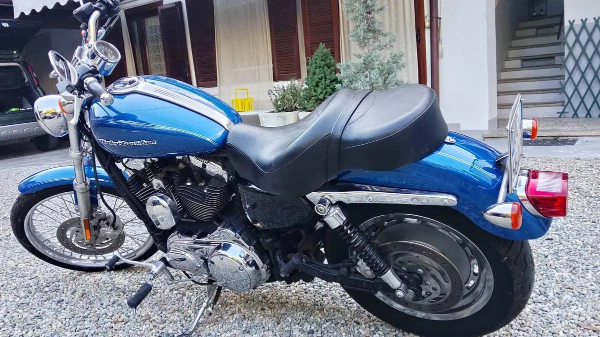 Harley-Davidson 1200 Custom (2007 - 13) - XL 1200C  (8)