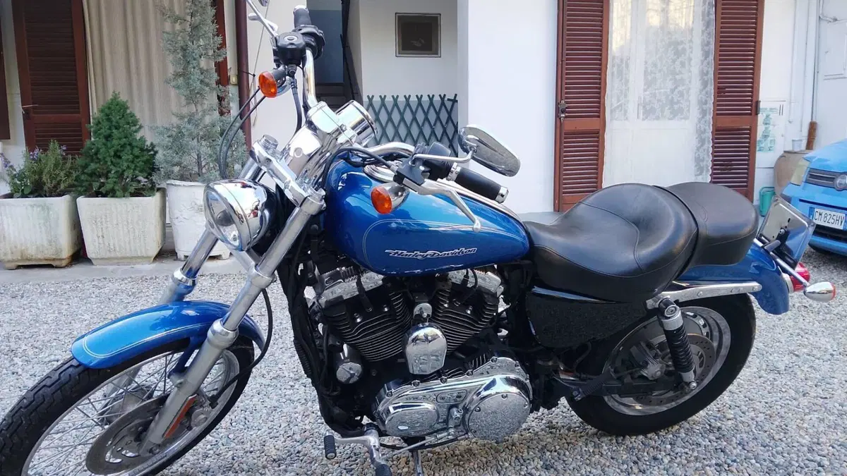 Harley-Davidson 1200 Custom (2007 - 13) - XL 1200C  (9)
