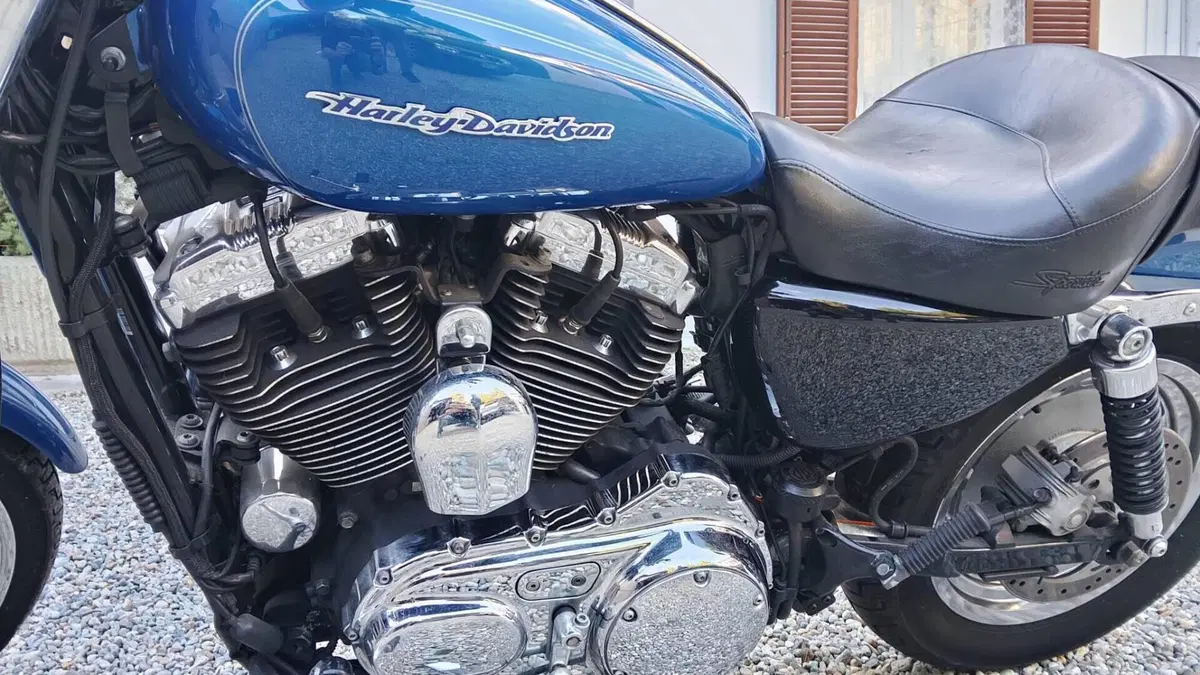 Harley-Davidson 1200 Custom (2007 - 13) - XL 1200C  (10)