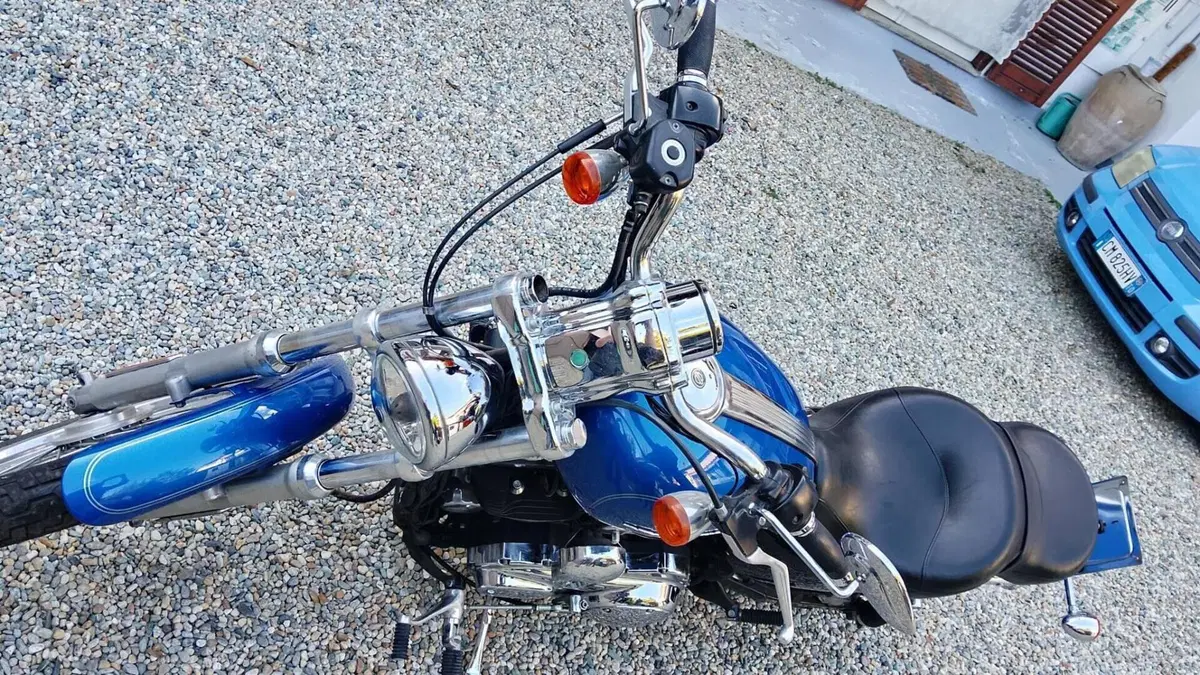 Harley-Davidson 1200 Custom (2007 - 13) - XL 1200C  (11)