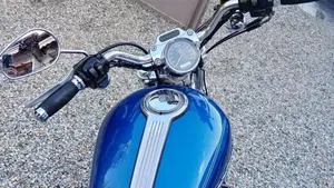 Harley-Davidson 1200 Custom (2007 - 13) - XL 1200C  (12)