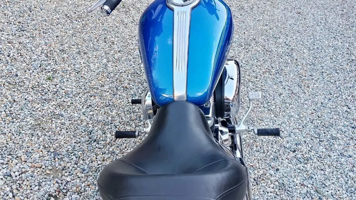 Harley-Davidson 1200 Custom (2007 - 13) - XL 1200C  (13)