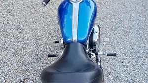 Harley-Davidson 1200 Custom (2007 - 13) - XL 1200C  (13)