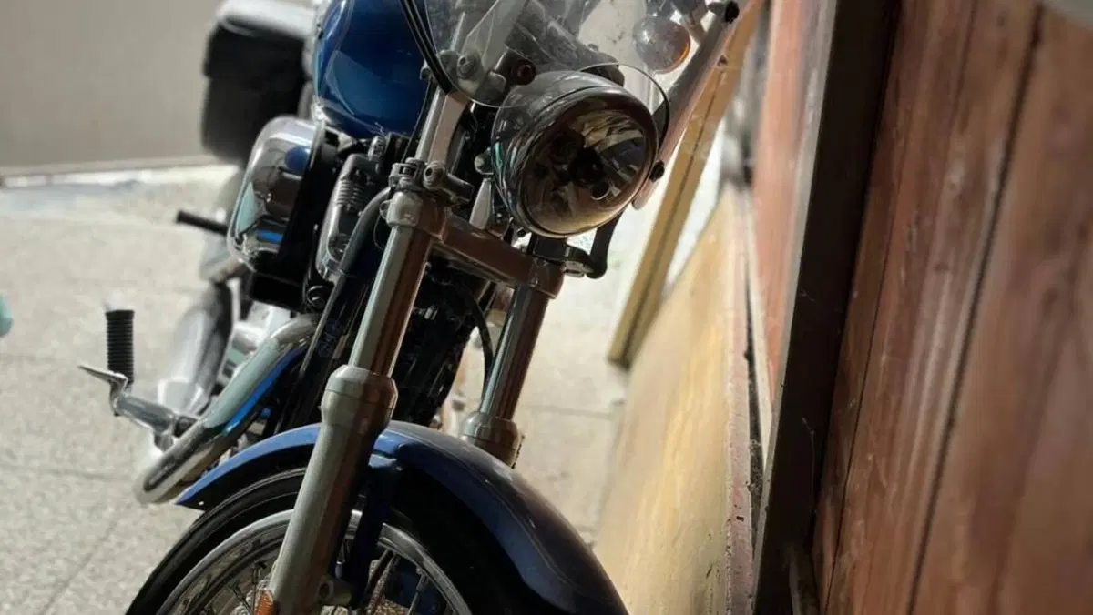 Harley-Davidson 1200 Custom (2007 - 13) - XL 1200C  (19)