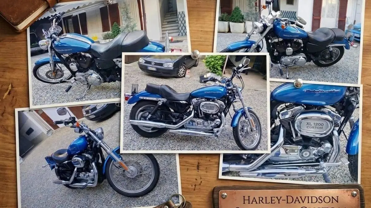 Harley-Davidson 1200 Custom (2007 - 13) - XL 1200C 