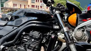 Triumph Speed Triple 955 (2002 - 04)  (7)