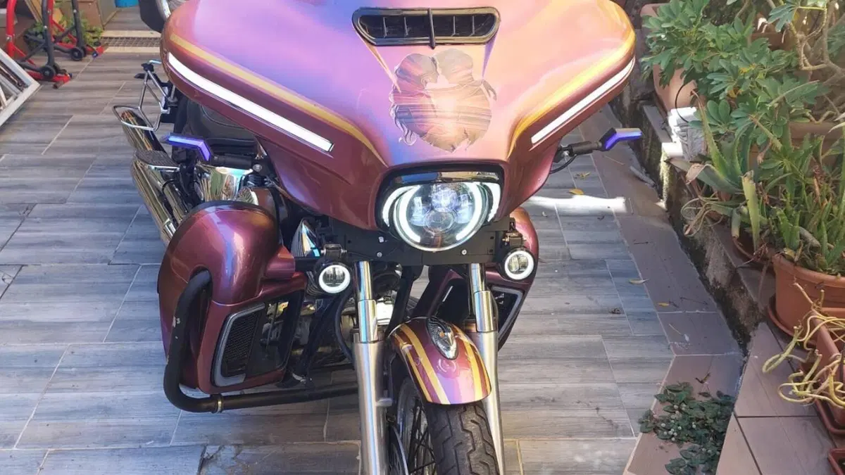 Yamaha XVS 1100 Drag Star A Classic (2000 - 06)  (7)