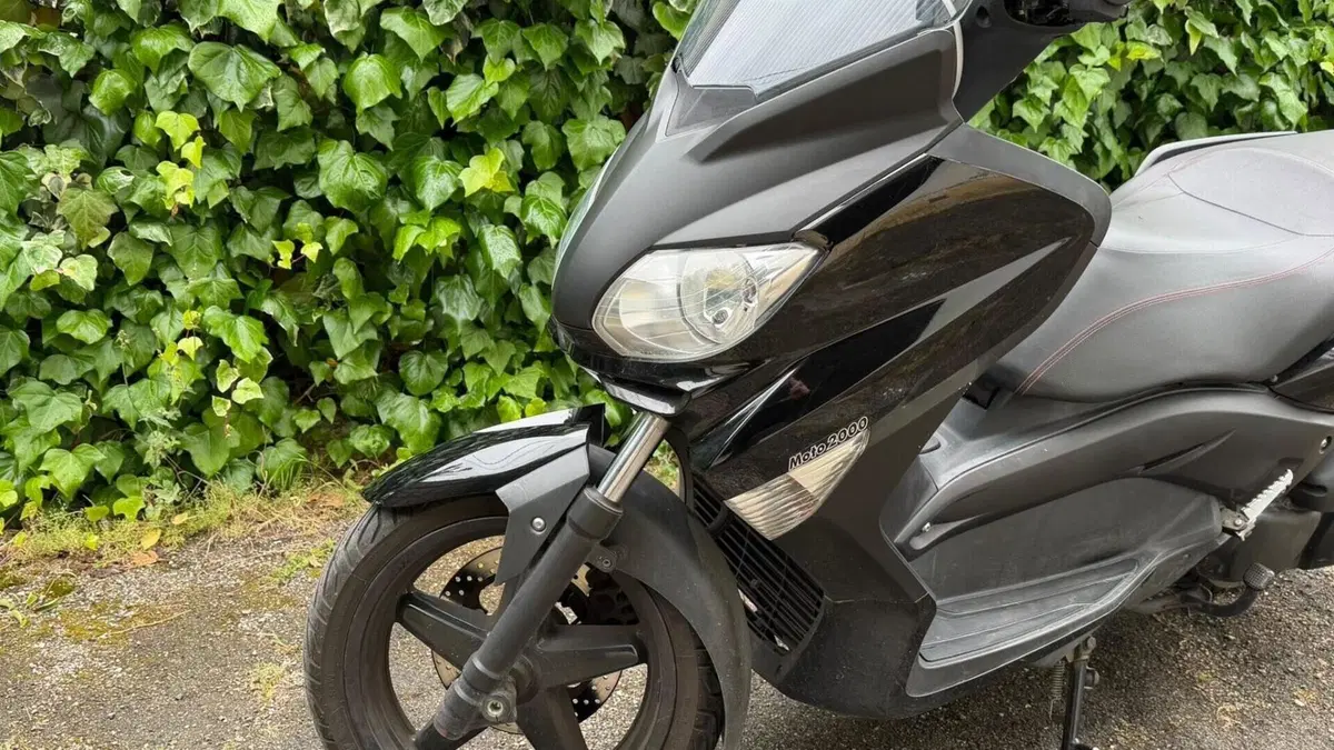 Yamaha X-Max 250 (2010 - 13)  (3)