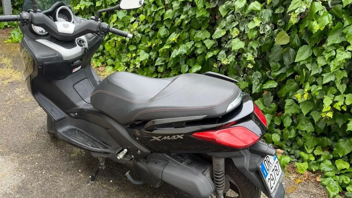 Yamaha X-Max 250 (2010 - 13)  (4)