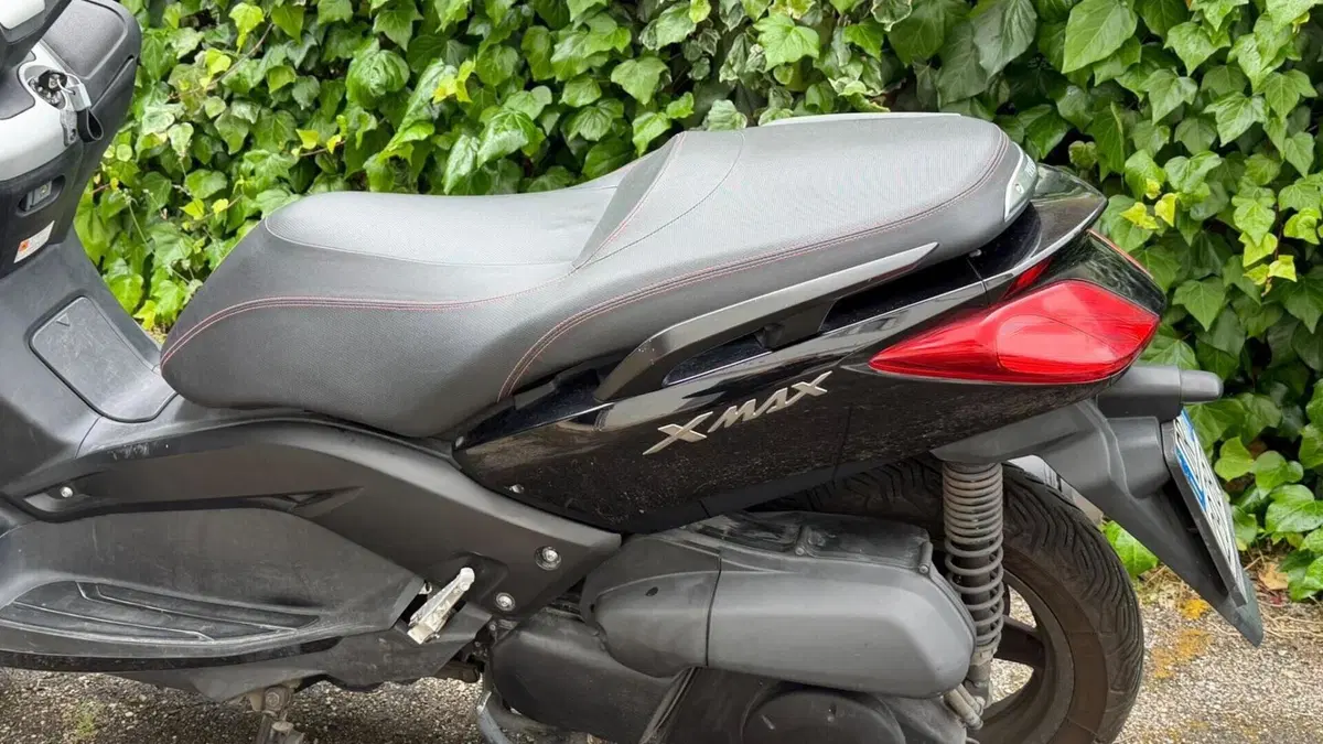 Yamaha X-Max 250 (2010 - 13)  (11)
