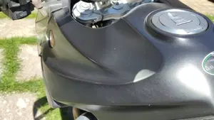 Moto Guzzi Stelvio 1200 NTX (2011 - 16)  (6)
