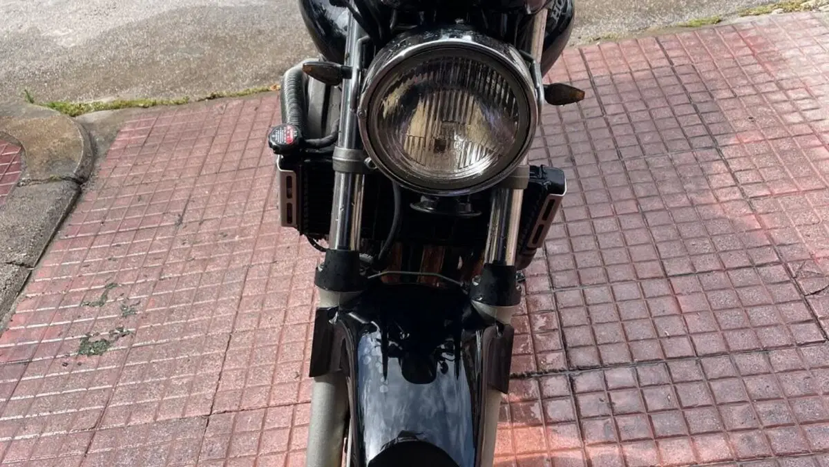 Honda Hornet 600 (2000 - 02) 