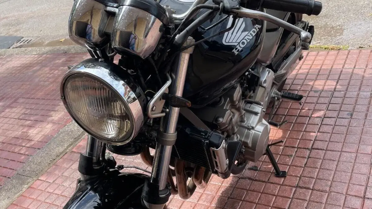 Honda Hornet 600 (2000 - 02)  (2)