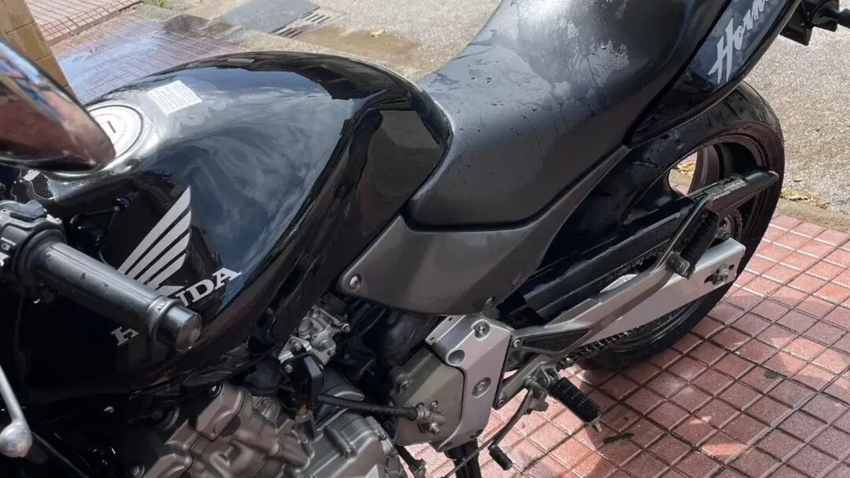 Honda Hornet 600 (2000 - 02)  (3)