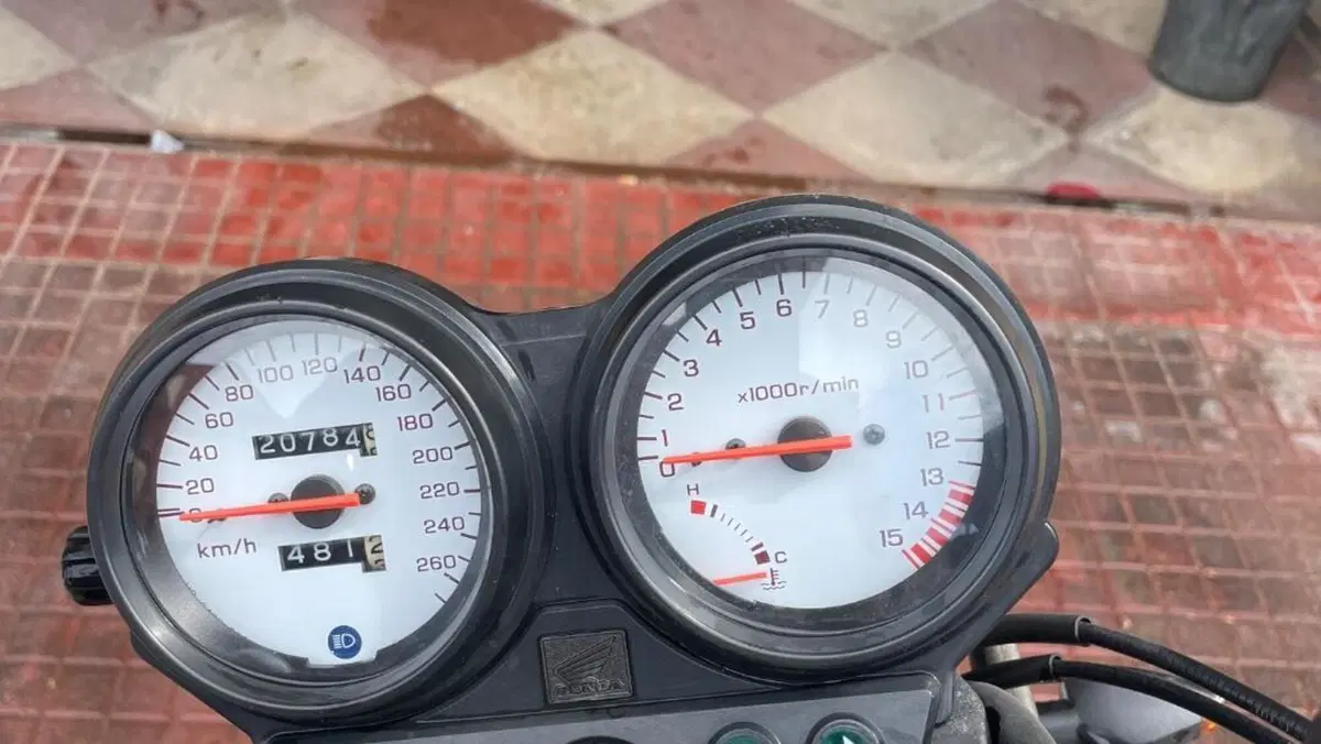 Honda Hornet 600 (2000 - 02)  (4)
