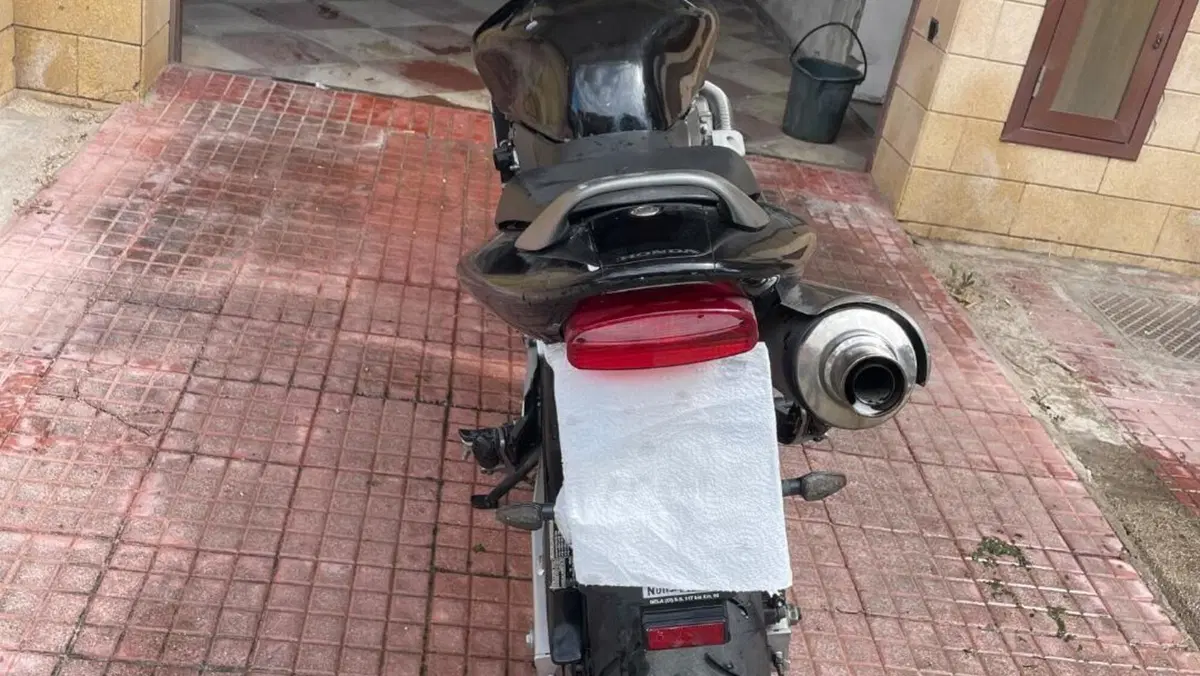 Honda Hornet 600 (2000 - 02)  (5)