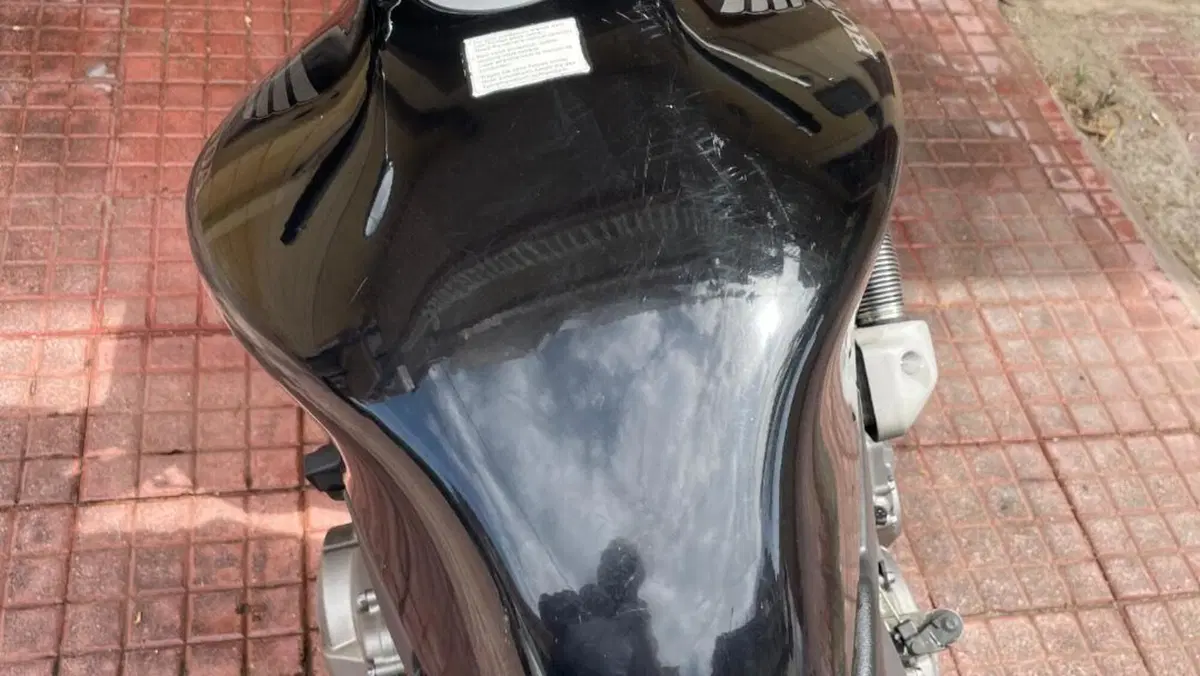 Honda Hornet 600 (2000 - 02)  (6)