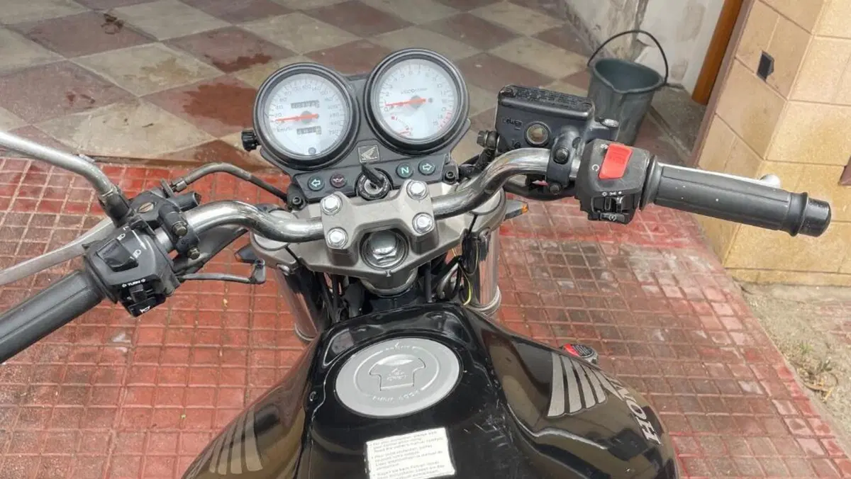 Honda Hornet 600 (2000 - 02)  (7)