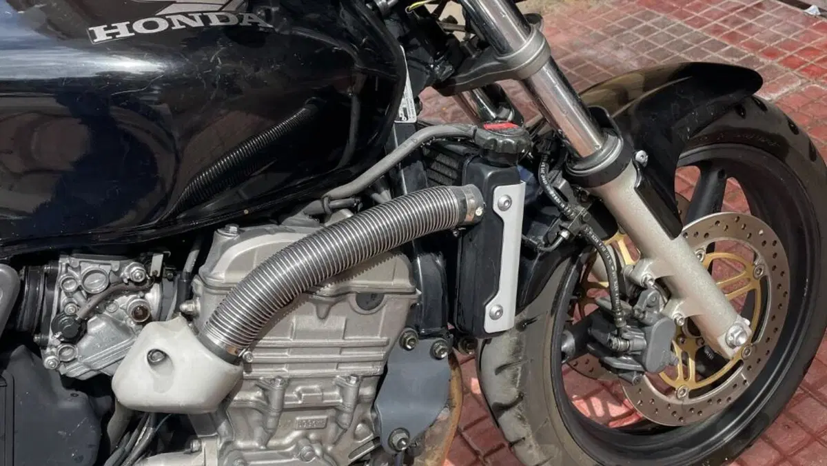 Honda Hornet 600 (2000 - 02)  (9)