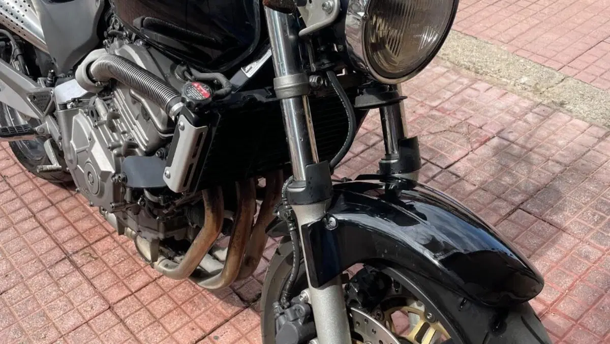 Honda Hornet 600 (2000 - 02)  (10)